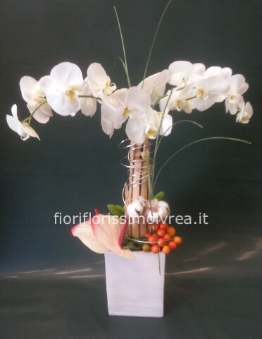 Phalenopsis 2 steli con vaso di ceramica