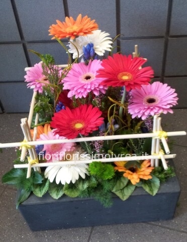 composizione vegetativa con gerbere