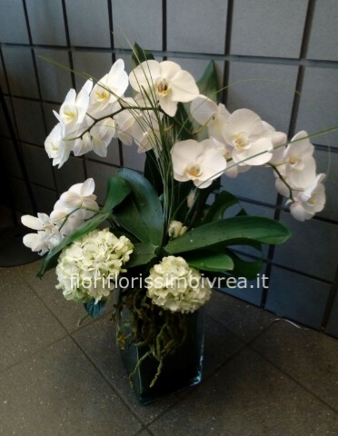 composizione in vetro con phalaenopsis e ortensie