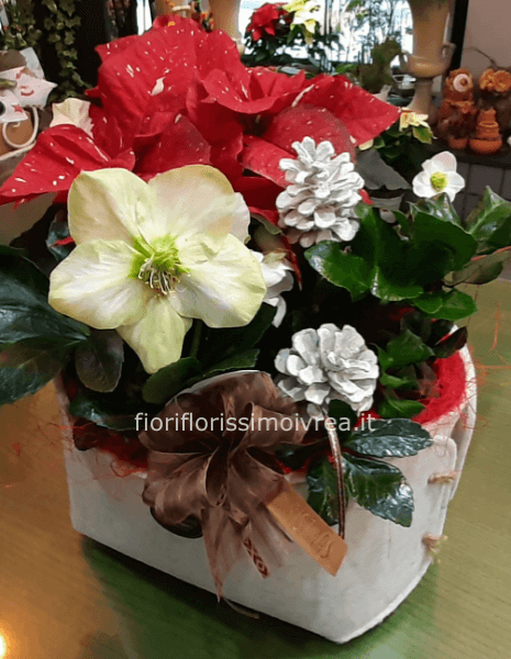 Composizione di piante